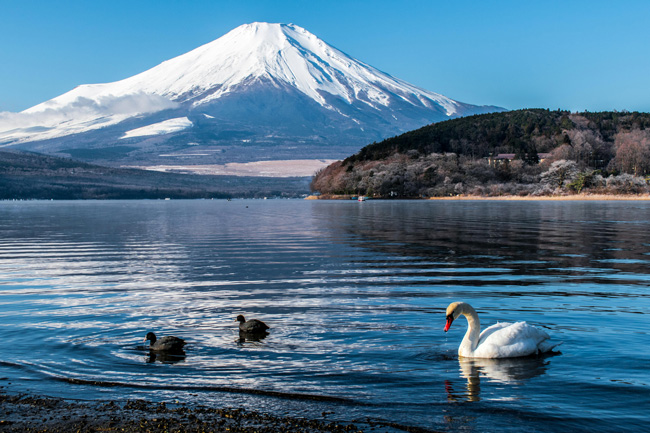 東京・富士山・輕井澤